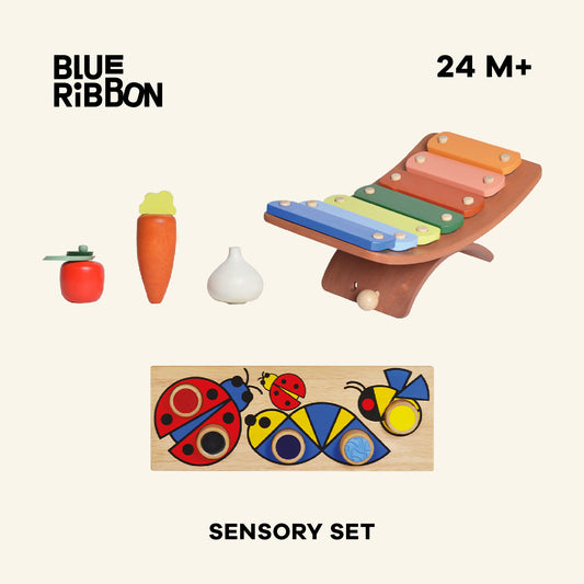 A sensory gift set from Blue Ribbon Toys featuring a variety of colorful wooden and plastic toys including a maraca, a harmonica, and a wooden tactile game.
