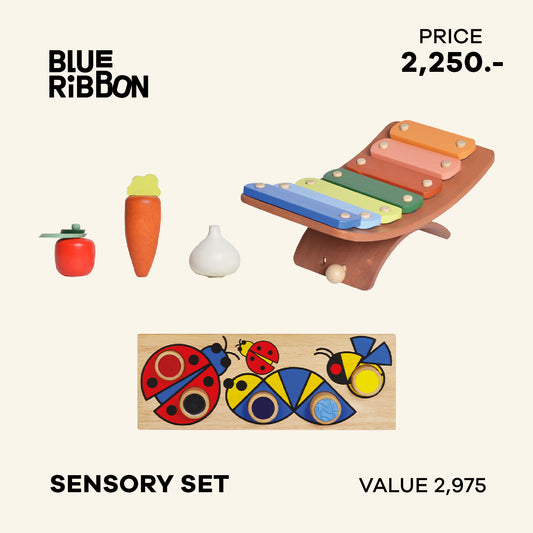 A sensory gift set from Blue Ribbon Toys featuring a variety of colorful wooden and plastic toys including a maraca, a harmonica, and a wooden tactile game.