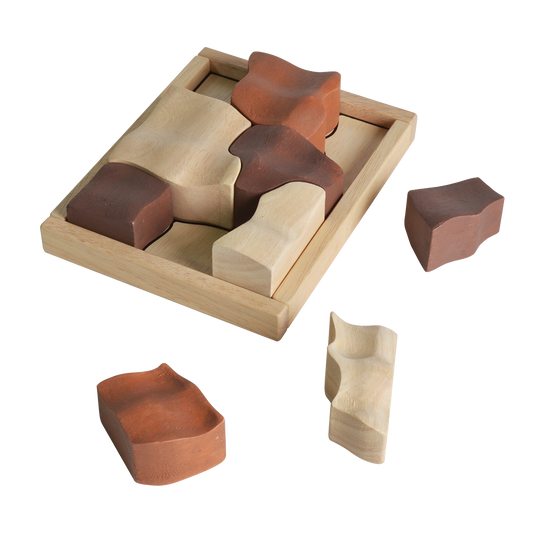 A wooden terrarium-shaped puzzle with brown and beige geometric shaped pieces, some of which are placed on the board and others are scattered around.
