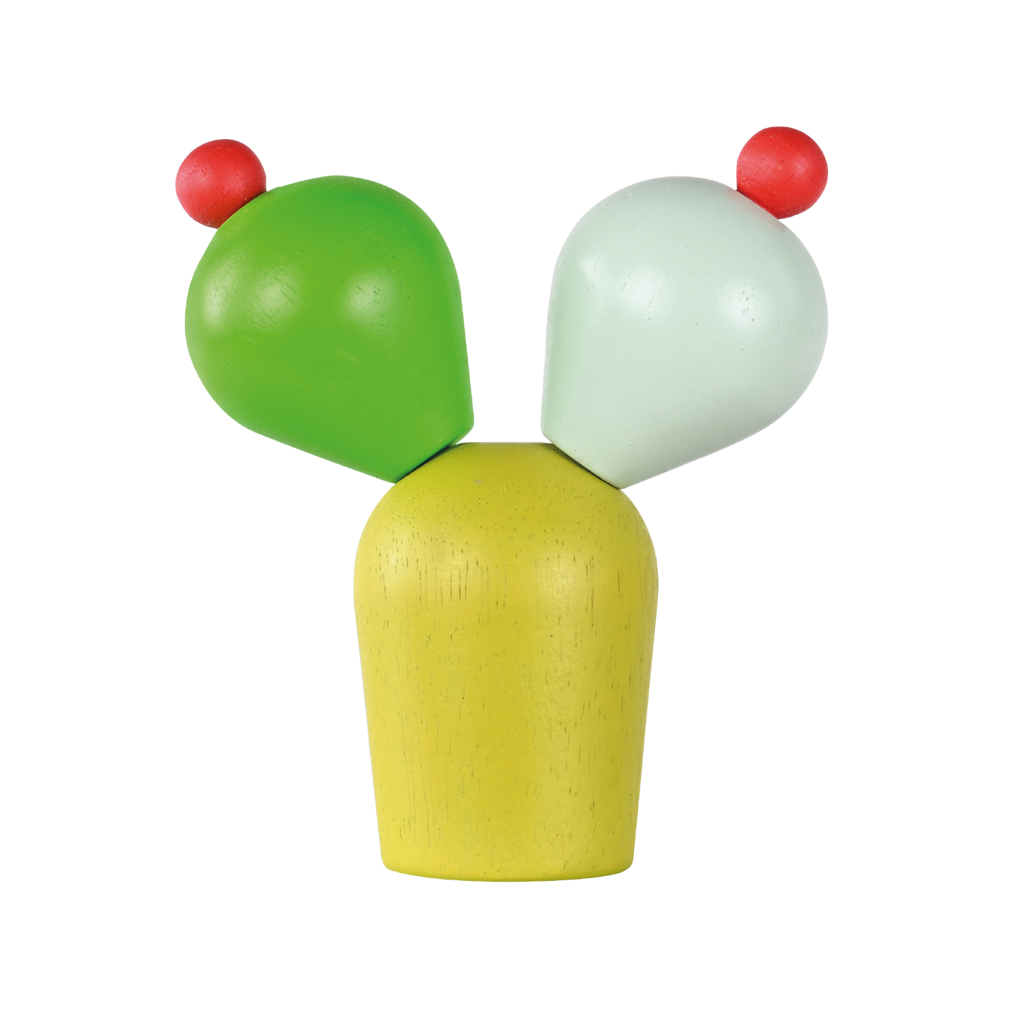 CACTUS RATTLE