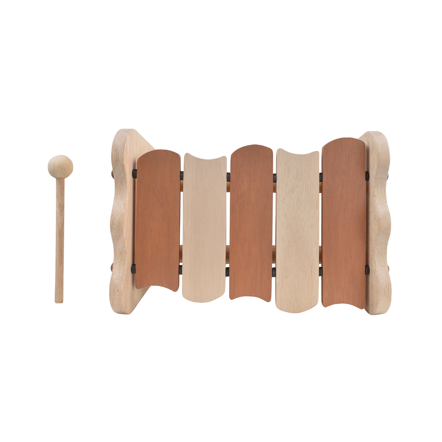 SCALLOP XYLOPHONE (NATURAL)