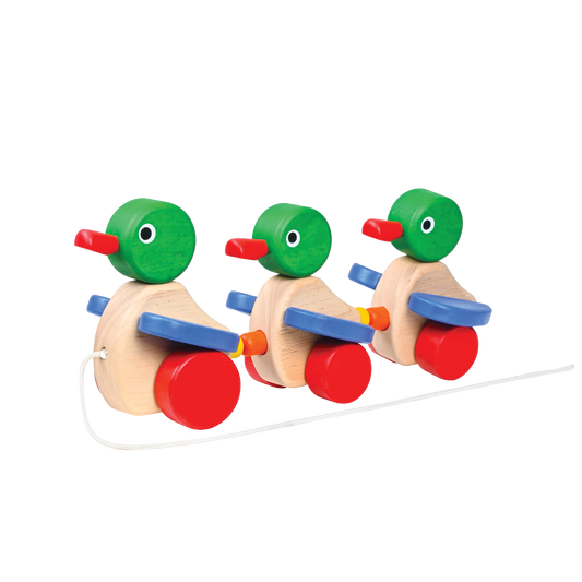 DUCK FAMILY (PRIMARY)