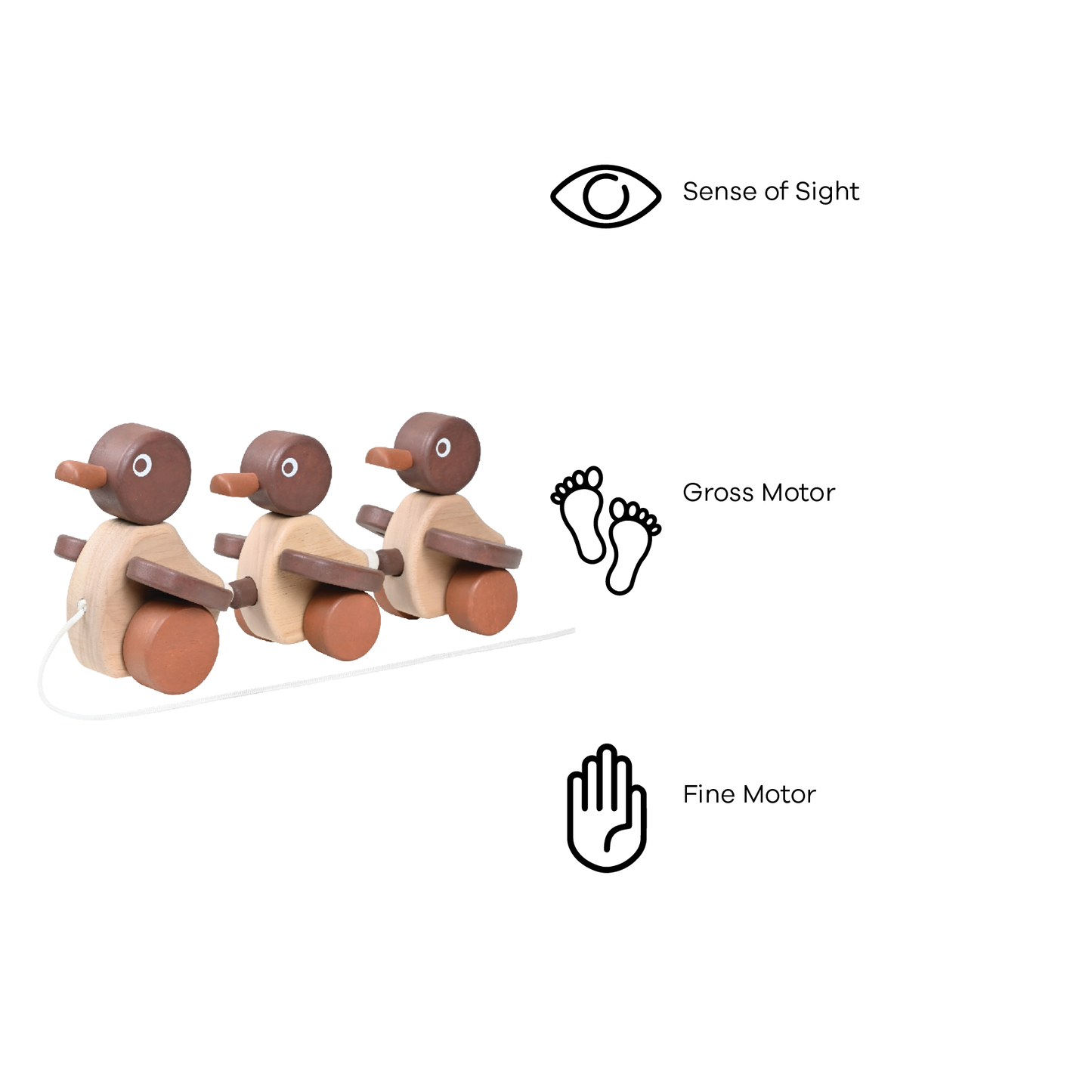 DUCK FAMILY (NATURAL)