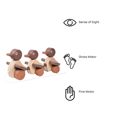 DUCK FAMILY (NATURAL)