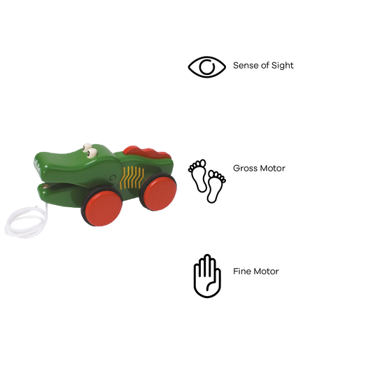 CROCODILE