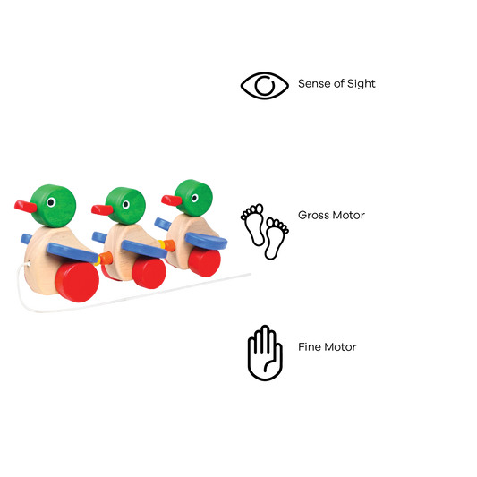 DUCK FAMILY (PRIMARY)