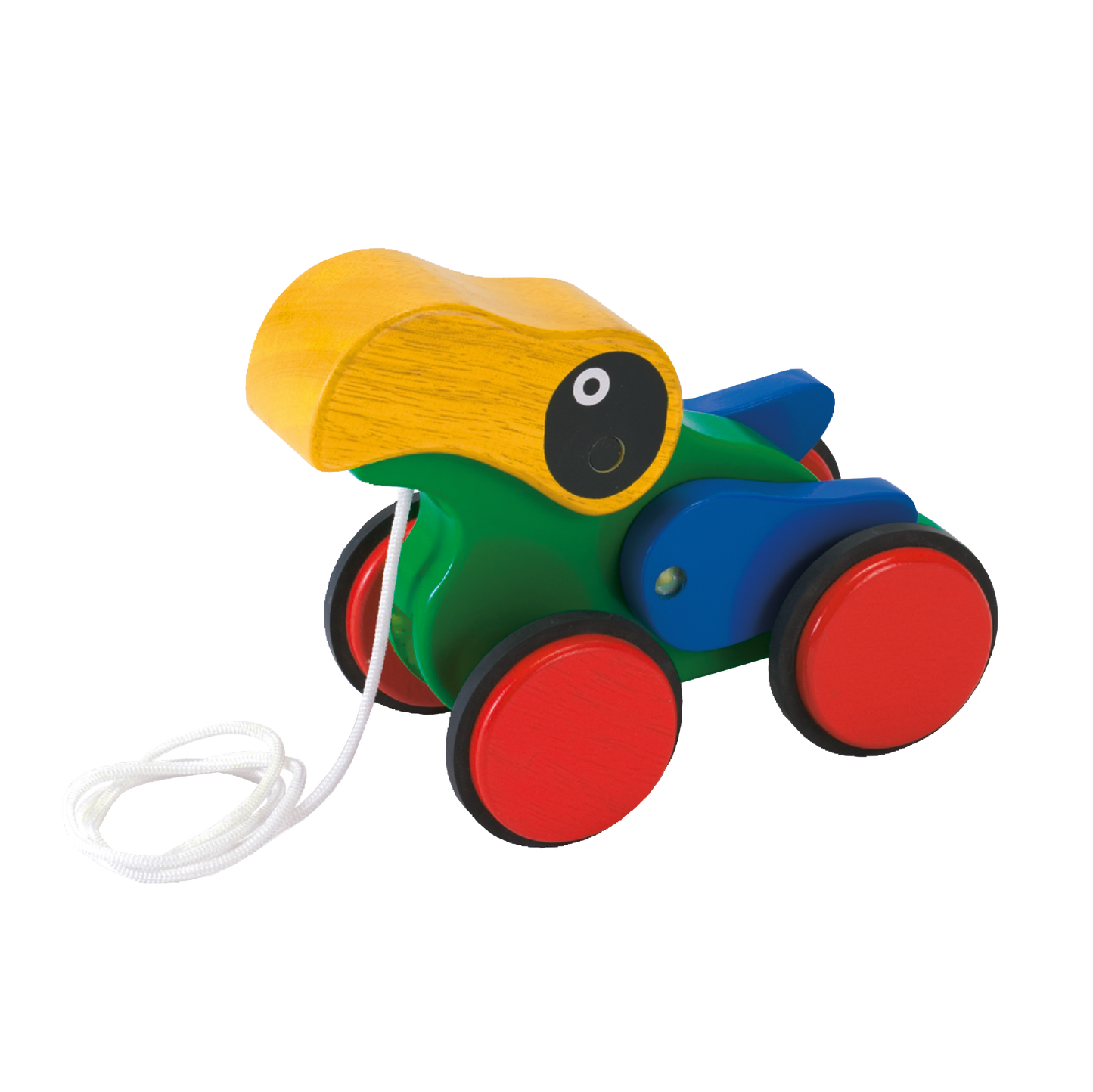 PARROT